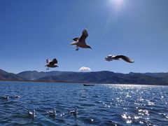 -泸沽湖里格半岛
