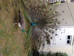 千岛湖开元度假村-杭州千岛湖开元度假村