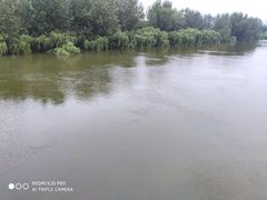-汉水公园