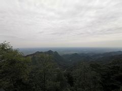 -青城甲(青城山店)