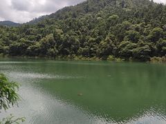 -广州市石门国家森林公园