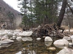 -黑河国家森林公园