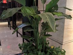 -洛阳宴·洛阳菜(南昌路店)