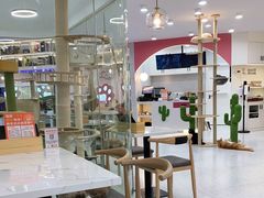 -喵园·猫主题咖啡厅·撸猫·猫咖(国贸店)