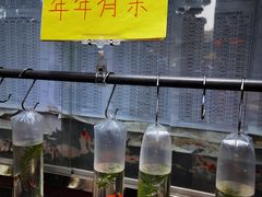 -黄埔古港