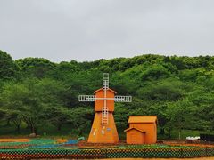 -苏州上方山国家森林公园