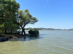 -蠡湖大桥公园