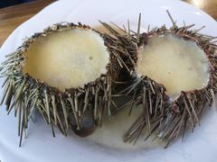 -海岛渔村大酒店(云霄路店)