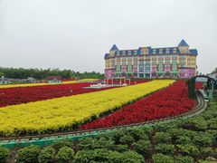 -百万葵园