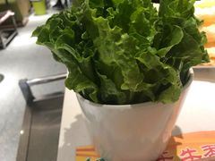 -古乐牛香·鲜牛肉牛杂火锅(新区店)