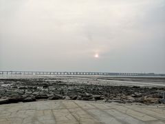 -宝安西湾红树林湿地公园