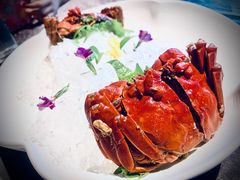 -蟹榭·本帮江浙菜·蟹宴(五角场合生汇商场店)