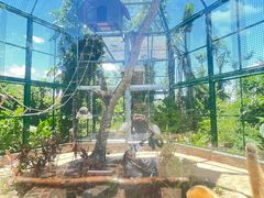 -海南热带野生动植物园