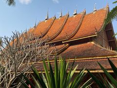 -西双版纳傣族园