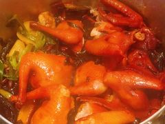 家喻私房鸽-新兴·金羊座·粤菜点心(乐峰店)