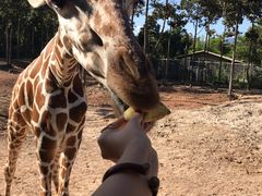 -清迈夜间动物园