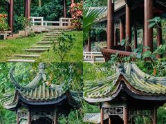 -深圳国际园林花卉博览园