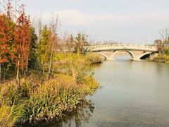 -上海长兴岛郊野公园