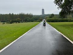-宜兴龙背山森林公园