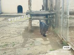 -大青山野生动物园
