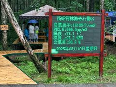 -汤旺河林海奇石景区