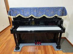 -柏斯琴行(汾阳店)