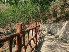 -北京凤凰岭