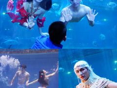 -华夏文旅海洋公园