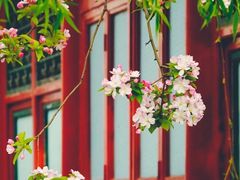 -元大都城垣遗址公园