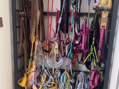 -小叮当动物医院·骨科·眼科