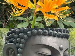 -杭州植物园
