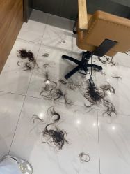 -程Studio