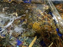 -79号渔船海鲜饭店(华强北店)