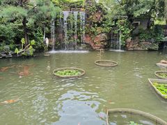 -碧江金楼