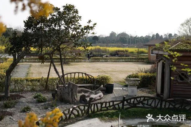 成都海蒂和噜噜的花园，别样的摄影体验攻略