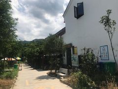 -长兴慧子土特产茶行