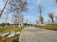 -汉长安城未央宫国家考古遗址公园