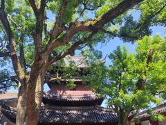 -普陀山风景名胜区-法雨禅寺