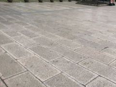 -共青国家森林公园-南大门停车场