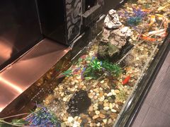 -金太阳海鲜烧烤·本地人餐厅(东纬路旗舰店)