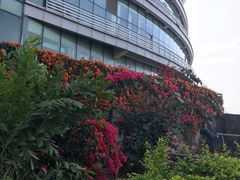 -北海银滩一号国际会议中心酒店