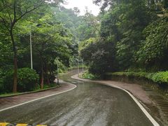 -火炉山森林公园