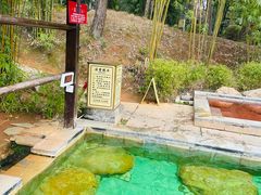 -崇阳三特浪口温泉