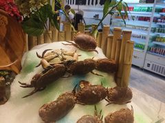 -川骄海鲜自助(河东店)
