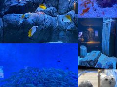 -成都浩海立方海洋公园