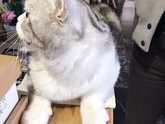 -边渡咖啡烘焙店(昙华林店)