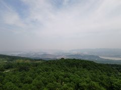 -铁山坪森林公园