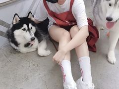-星多哈·狗咖·拼豆·咖啡