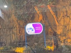 -横店影视城梦幻谷园区