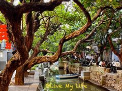 -小洲村